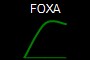 FOXA